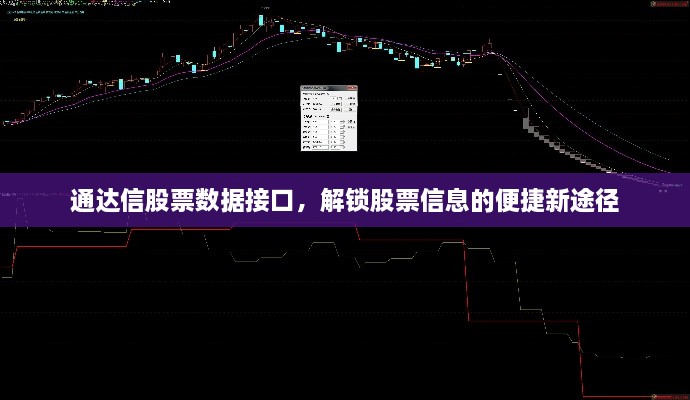 通達(dá)信股票數(shù)據(jù)接口，解鎖股票信息的便捷新途徑