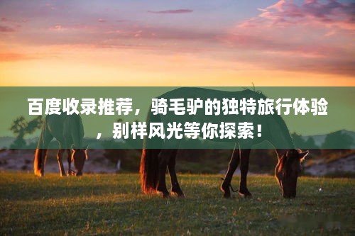 百度收錄推薦，騎毛驢的獨特旅行體驗，別樣風光等你探索！