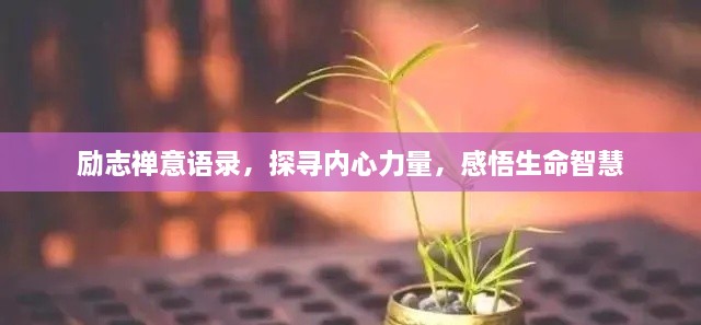 勵(lì)志禪意語錄，探尋內(nèi)心力量，感悟生命智慧
