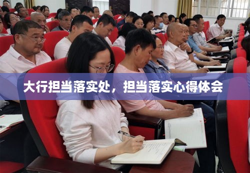 大行擔(dān)當(dāng)落實(shí)處，擔(dān)當(dāng)落實(shí)心得體會(huì) 