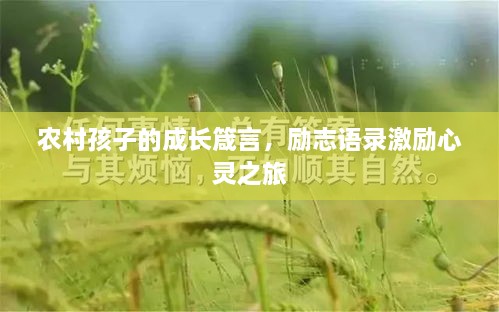 農(nóng)村孩子的成長箴言，勵志語錄激勵心靈之旅