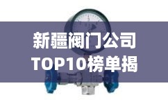 新疆閥門公司TOP10榜單揭曉，行業(yè)領(lǐng)軍者一覽無余