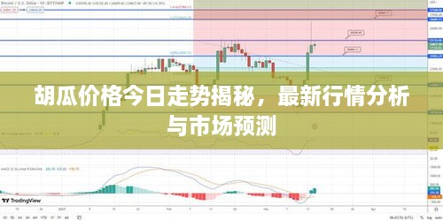胡瓜價格今日走勢揭秘，最新行情分析與市場預(yù)測