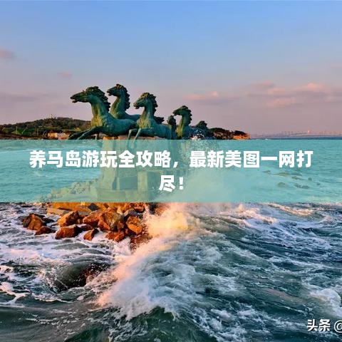 養(yǎng)馬島游玩全攻略，最新美圖一網(wǎng)打盡！