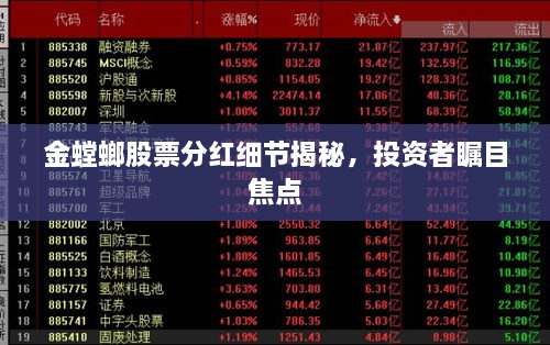 金螳螂股票分紅細(xì)節(jié)揭秘，投資者矚目焦點(diǎn)