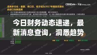 今日財(cái)務(wù)動(dòng)態(tài)速遞，最新消息查詢，洞悉趨勢(shì)，掌握財(cái)經(jīng)動(dòng)態(tài)