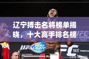 遼寧搏擊名將榜單揭曉，十大高手排名榜單！