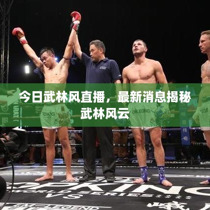 今日武林風直播，最新消息揭秘武林風云