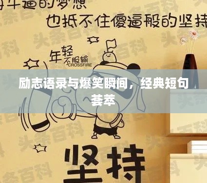 勵(lì)志語錄與爆笑瞬間，經(jīng)典短句薈萃