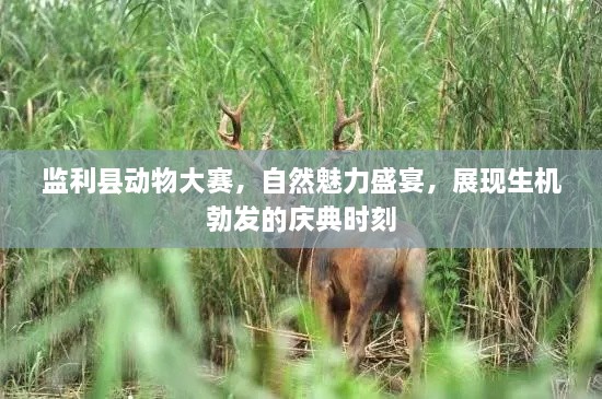 監(jiān)利縣動物大賽，自然魅力盛宴，展現(xiàn)生機(jī)勃發(fā)的慶典時刻