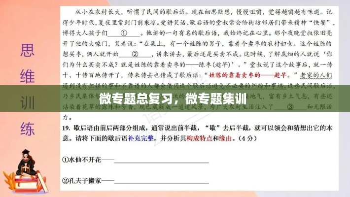 微專題總復(fù)習(xí)，微專題集訓(xùn) 