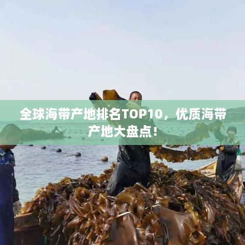 全球海帶產(chǎn)地排名TOP10，優(yōu)質(zhì)海帶產(chǎn)地大盤點！