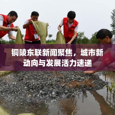 銅陵東聯(lián)新聞聚焦，城市新動向與發(fā)展活力速遞