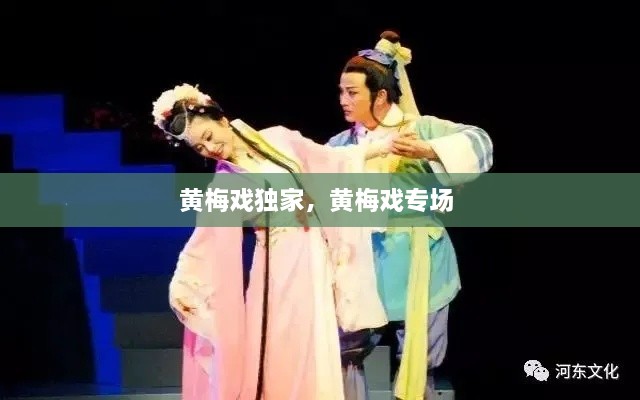 黃梅戲獨(dú)家，黃梅戲?qū)?