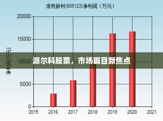 派爾科股票，市場矚目新焦點