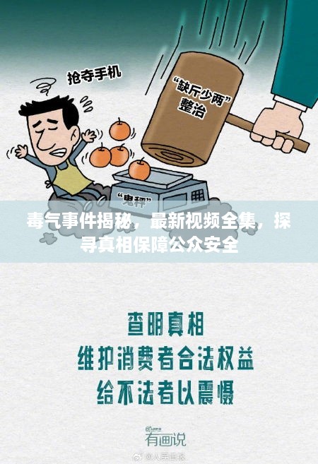 毒氣事件揭秘，最新視頻全集，探尋真相保障公眾安全