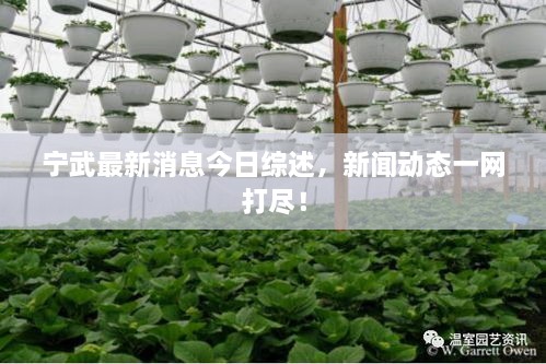 寧武最新消息今日綜述，新聞動(dòng)態(tài)一網(wǎng)打盡！