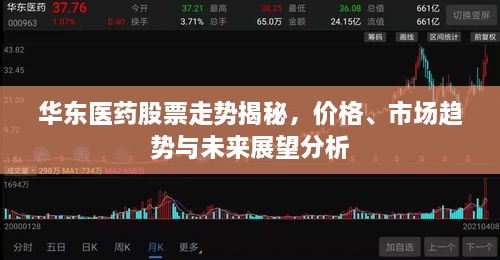 華東醫(yī)藥股票走勢(shì)揭秘，價(jià)格、市場(chǎng)趨勢(shì)與未來(lái)展望分析