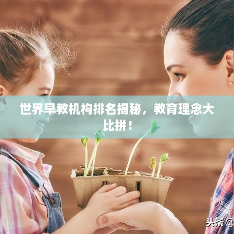 世界早教機(jī)構(gòu)排名揭秘，教育理念大比拼！