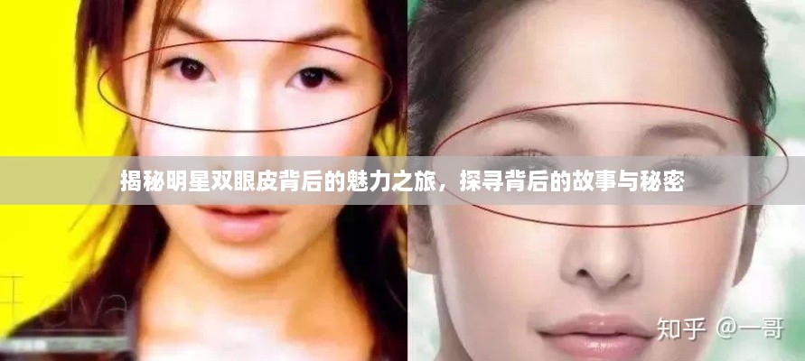揭秘明星雙眼皮背后的魅力之旅，探尋背后的故事與秘密