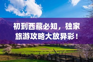 產(chǎn)品展示 第85頁