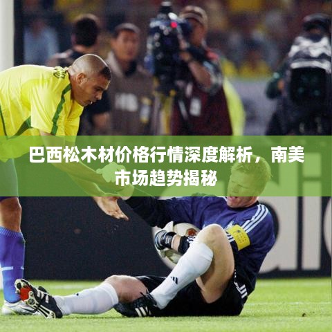 巴西松木材價格行情深度解析，南美市場趨勢揭秘