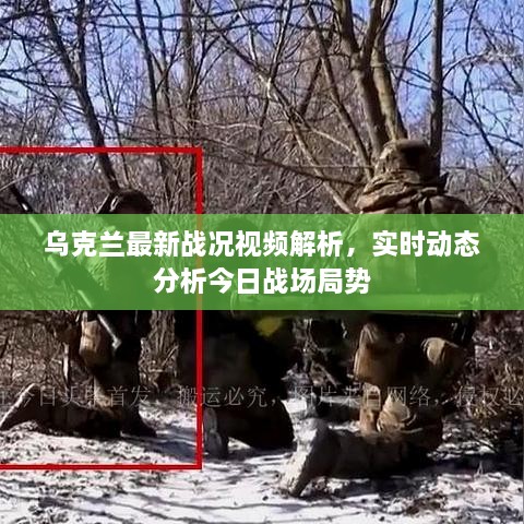 烏克蘭最新戰(zhàn)況視頻解析，實時動態(tài)分析今日戰(zhàn)場局勢