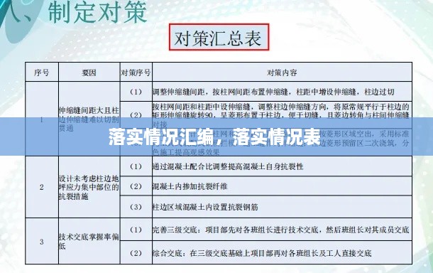 落實情況匯編，落實情況表 
