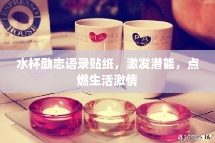 水杯勵志語錄貼紙，激發(fā)潛能，點(diǎn)燃生活激情