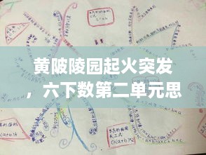 黃陂陵園起火突發(fā)，六下數(shù)第二單元思維導(dǎo)圖 