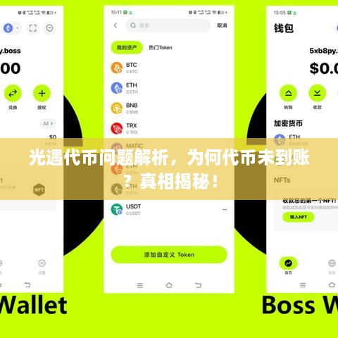光遇代幣問題解析，為何代幣未到賬？真相揭秘！