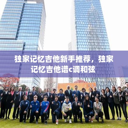 獨(dú)家記憶吉他新手推薦，獨(dú)家記憶吉他譜c調(diào)和弦 