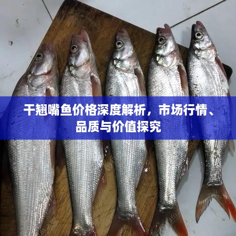 干翹嘴魚價格深度解析，市場行情、品質(zhì)與價值探究