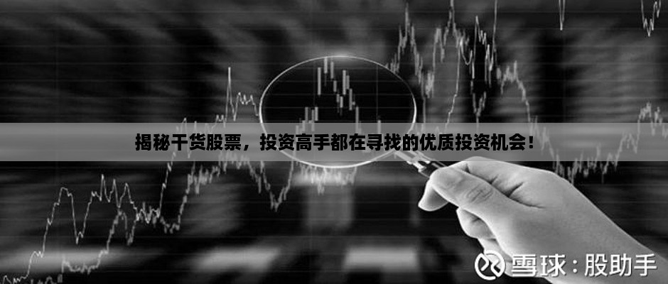 揭秘干貨股票，投資高手都在尋找的優(yōu)質(zhì)投資機(jī)會！