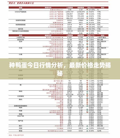 種鴨蛋今日行情分析，最新價格走勢揭秘