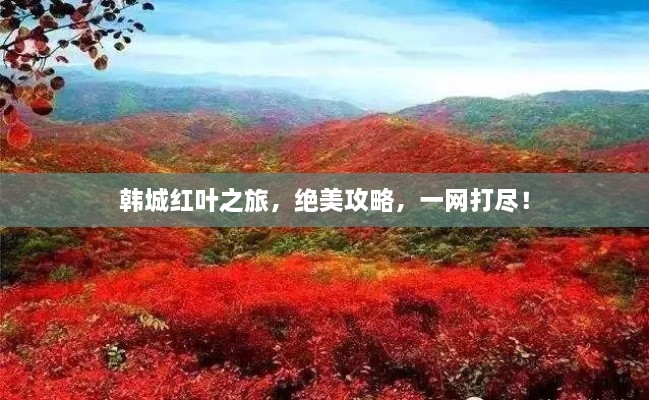 韓城紅葉之旅，絕美攻略，一網(wǎng)打盡！