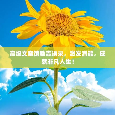 高級文案館勵志語錄，激發(fā)潛能，成就非凡人生！