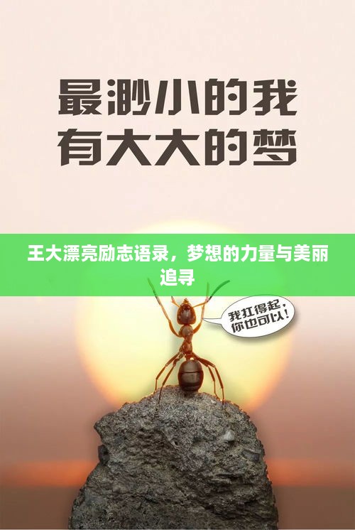 王大漂亮勵(lì)志語(yǔ)錄，夢(mèng)想的力量與美麗追尋