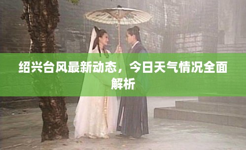 紹興臺風最新動態(tài)，今日天氣情況全面解析
