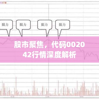 股市聚焦，代碼002042行情深度解析