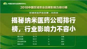 揭秘納米醫(yī)藥公司排行榜，行業(yè)影響力不容小覷！