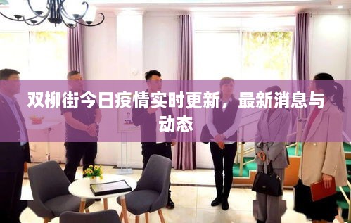 雙柳街今日疫情實(shí)時(shí)更新，最新消息與動(dòng)態(tài)