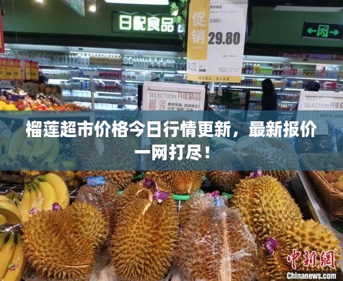 榴蓮超市價(jià)格今日行情更新，最新報(bào)價(jià)一網(wǎng)打盡！
