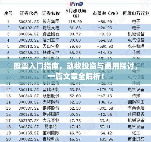 股票入門指南，動(dòng)牧投資與費(fèi)用探討，一篇文章全解析！