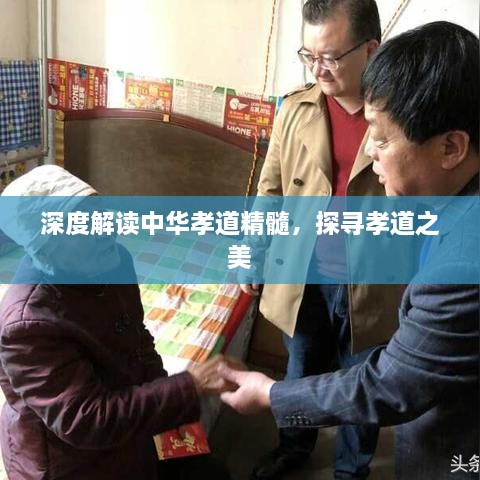 深度解讀中華孝道精髓，探尋孝道之美