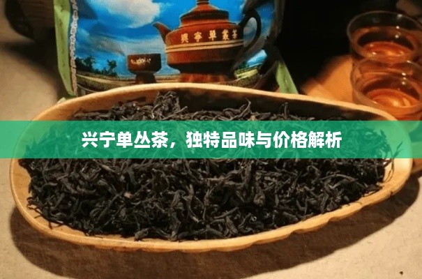興寧單叢茶，獨(dú)特品味與價(jià)格解析