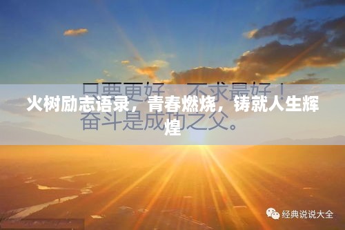 火樹勵志語錄，青春燃燒，鑄就人生輝煌