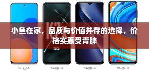 小魚在家，品質(zhì)與價(jià)值并存的選擇，價(jià)格實(shí)惠受青睞