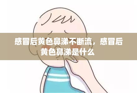 感冒后黃色鼻涕不斷流，感冒后黃色鼻涕是什么 