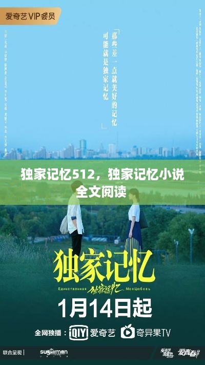 獨(dú)家記憶512，獨(dú)家記憶小說全文閱讀 